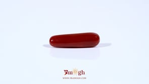 Red Coral - 3.45 Carat