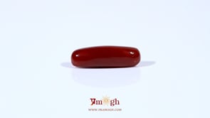 Red Coral - 4.3 Carat