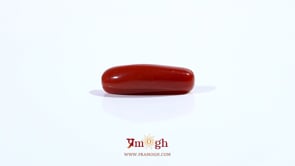 Red Coral - 3.88 Carat