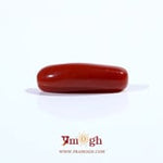 Red Coral - 3.88 Carat