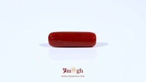 Red Coral - 4.3 Carat