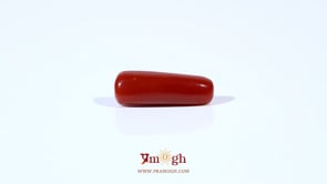 Red Coral - 3.85 Carat