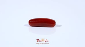 Red Coral - 4 Carat