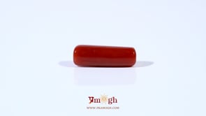 Red Coral - 4.2 Carat