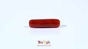 Red Coral - 4.22 Carat