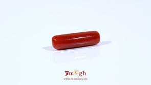 Red Coral - 4.2 Carat