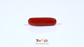 Red Coral - 3.85 Carat