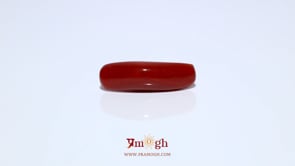 Red Coral - 4.25 Carat