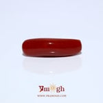 Red Coral - 4.25 Carat