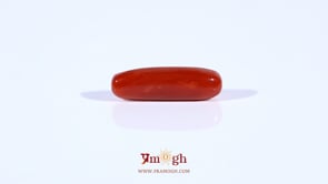 Red Coral - 4.5 Carat