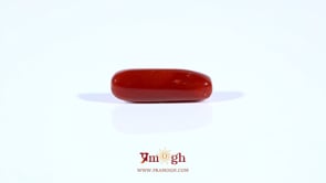 Red Coral - 3.85 Carat