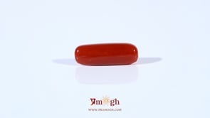 Red Coral - 3.9 Carat