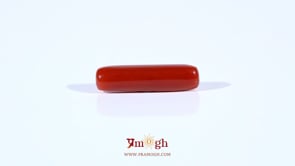 Red Coral - 4.5 Carat