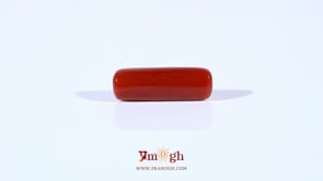 Red Coral - 4.2 Carat