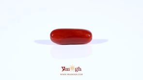 Red Coral - 4.2 Carat