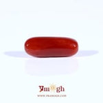 Red Coral - 4.2 Carat