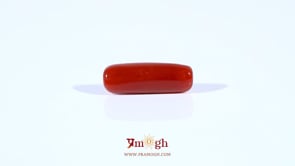 Red Coral - 3.75 Carat