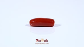 Red Coral - 4.2 Carat