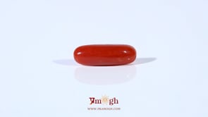 Red Coral - 3.72 Carat