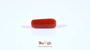 Red Coral - 4.2 Carat