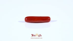 Red Coral - 4.2 Carat