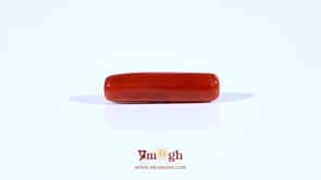 Red Coral - 4.2 Carat