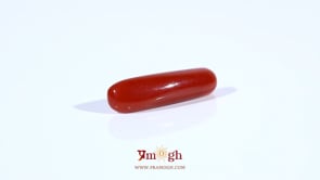 Red Coral - 4.5 Carat