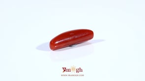 Red Coral - 4.37 Carat