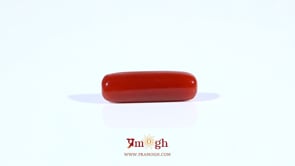 Red Coral - 4.3 Carat