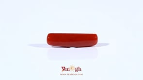 Red Coral - 4.3 Carat