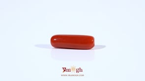 Red Coral - 4.2 Carat