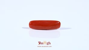 Red Coral - 3.65 Carat