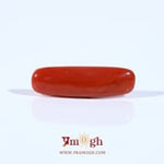 Red Coral - 3.65 Carat