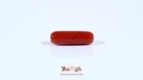 Red Coral - 4.03 Carat