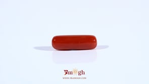 Red Coral - 3.95 Carat
