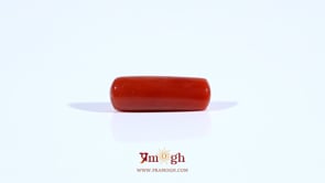Red Coral - 4.2 Carat