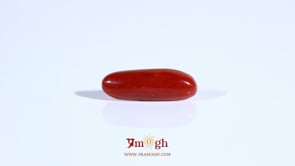 Red Coral - 3.45 Carat