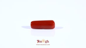 Red Coral - 3.65 Carat