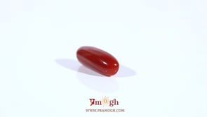 Red Coral - 3.63 Carat