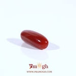 Red Coral - 3.63 Carat