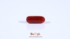 Red Coral - 3.6 Carat