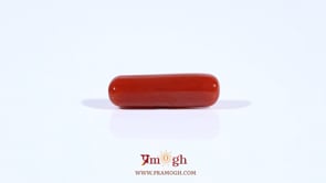 Red Coral - 4.5 Carat