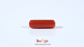 Red Coral - 4.2 Carat