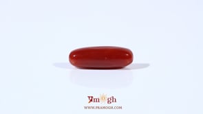 Red Coral - 4.05 Carat