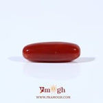 Red Coral - 4.05 Carat
