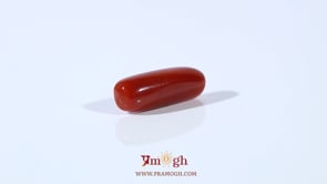 Red Coral - 4.05 Carat