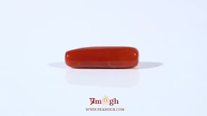 Red Coral - 4.25 Carat