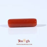 Red Coral - 4.5 Carat