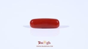 Red Coral - 4.2 Carat