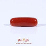 Red Coral - 4.2 Carat